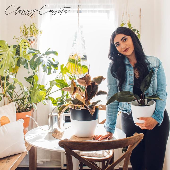 Image du produit Classy Casita Feuchtigkeitsmessgerät