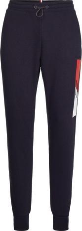 Tommy Hilfiger Graphic Pant MW0MW19763 DW5 M (M)