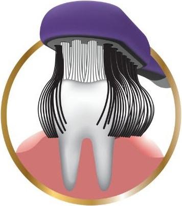 Actual product image Edel + White CleanCurl Curved brosse à dents (Medium, 1 x)