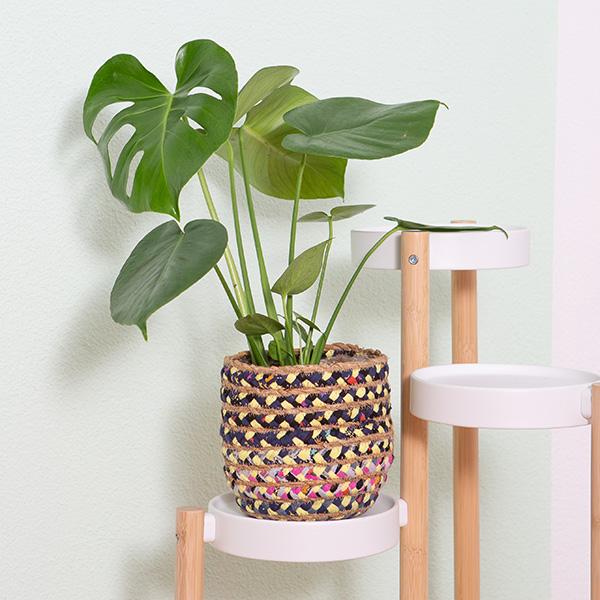 Actual product image VEG and the City Liberia (75 cm)