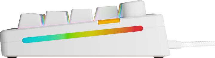 Actual product image Glorious GMMK 3 HE 65 % Custom Gaming Keyboard - Pre-Built, ANSI (US), Fox HE Switches, white (US, Cable)