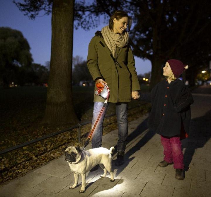 Immagine prodotto Flexi Sistema di illuminazione a LED (S, M, L, Cane, Generale)