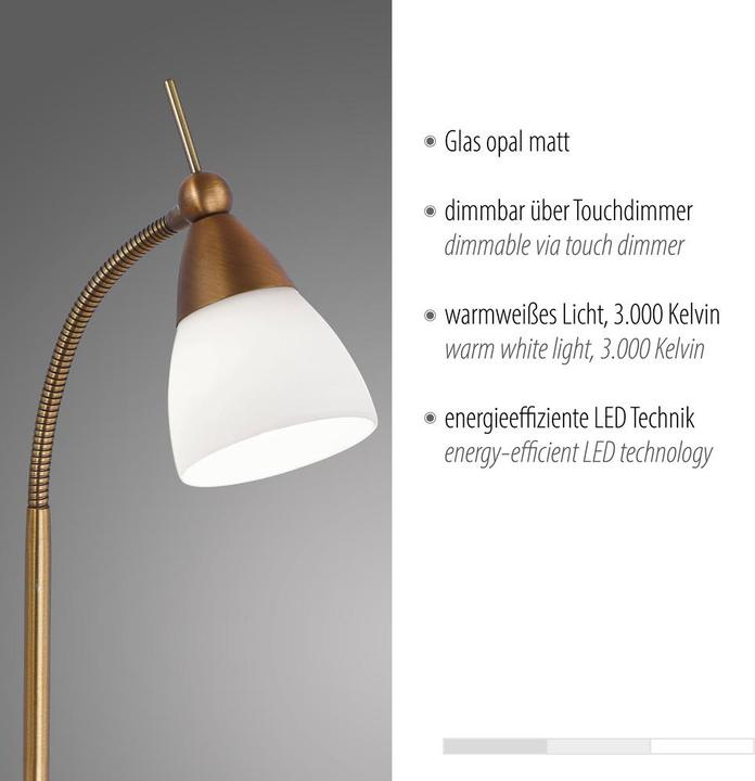 Immagine prodotto Paul Neuhaus lampada da tavolo LED in ottone antico 3000K 3W (265 lm, G9)