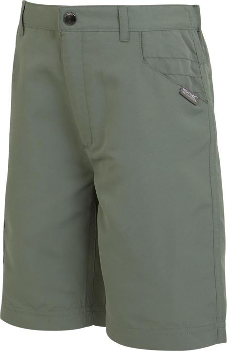 Actual product image Regatta Childrens/Kids Sorcer II Shorts (104)