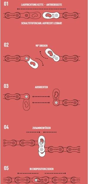 Actual product image Connex Link 8x
