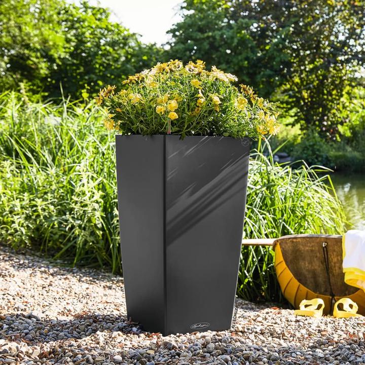 Actual product image Lechuza cubico (39.50 cm)