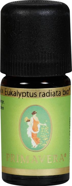 Produktbild Primavera Eukalyptus radiata* bio