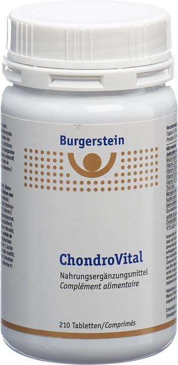 Burgerstein Chondrovital (1 Stück, Tabletten, 328 g)