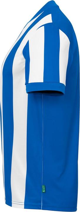 Actual product image Uhlsport Retro Stripe (S)