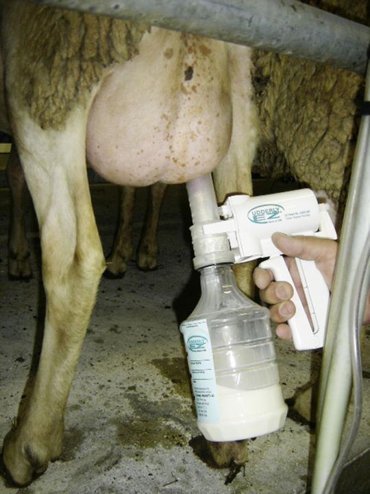 Produktbild Kerbl Melkpumpe f. Schafe im Zubehörset