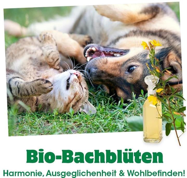 Immagine prodotto cdVet Paura organica dei fiori di Bach (1 pz., 60 g)