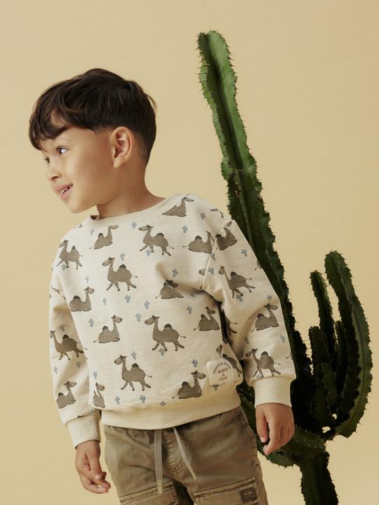 Actual product image Name it Bio-Baumwoll Sweatshirt (98)