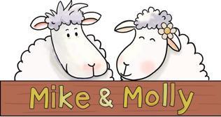 Produktbild Fien & Teun Plüschtier Fien und Teun – Molly das Schaf, 25 cm (10 cm)