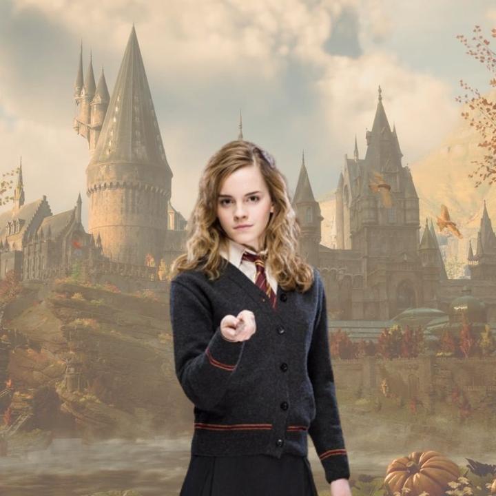 Produktbild Noble Collection Harry Potter Zauberstab Hermine Granger (Charakter-Edition)