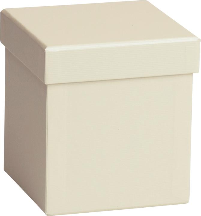 Beige light