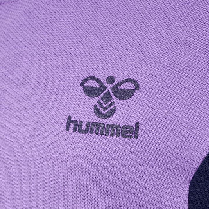 Produktbild hummel Hmlstaltic Cotton Hoodie Kids (116)