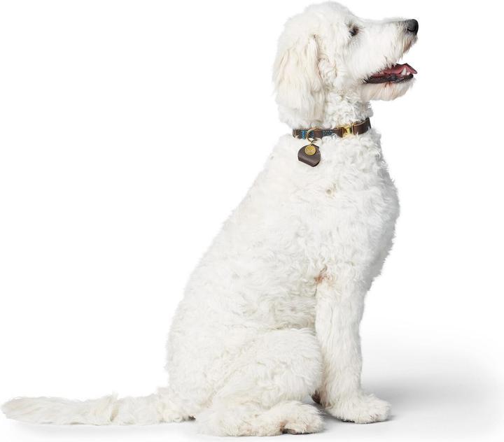 Produktbild Hunter Hundehalsband Sansibar (40, 41, 42, 43, 44, 45, 46, 47, 48, 49, 50, 52, 54, Hund, Allgemein)