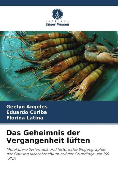 Produktbild Das Geheimnis der Vergangenheit lüften (Geelyn Angeles, Eduardo Curiba, Florina Latina, 2023)
