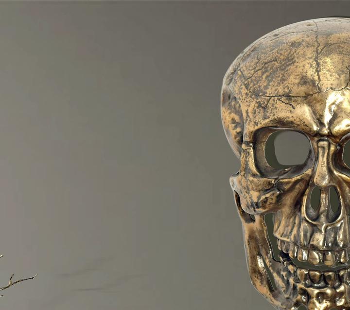 Actual product image FineBuy Wanddeko Totenkopf 41 cm Aluminium Schädel Wohndeko Dekoration Modern