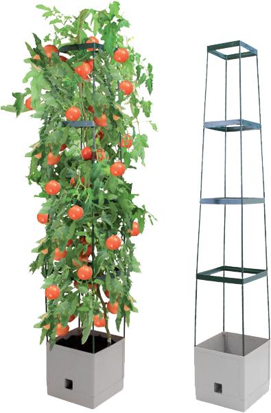 Produktbild Bio Green Tomaten-Pflanzturm Maxitom (25 cm, 25 cm)