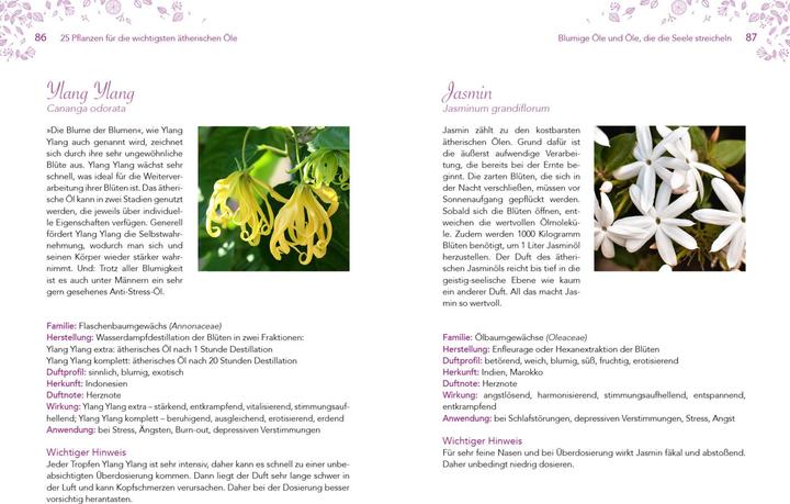 Produktbild Leichter abnehmen mit Aromatherapie (Deutsch, Tuula Misfeld, 2021)