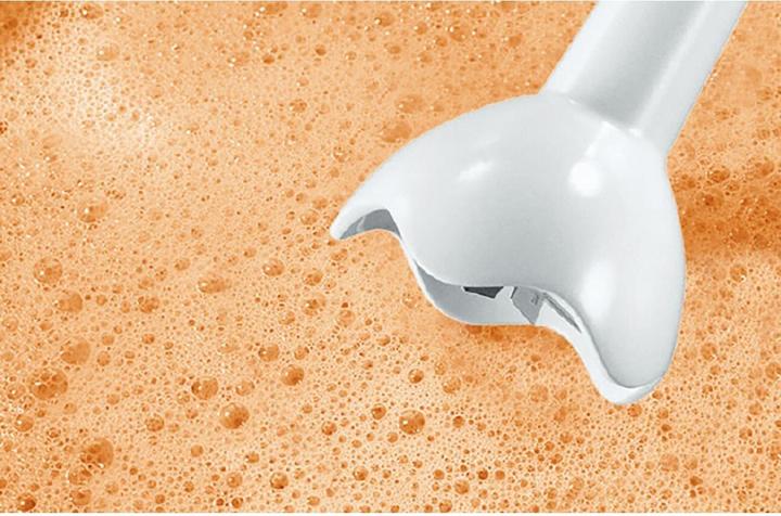 Immagine prodotto Bosch Hausgeräte MSM6B100