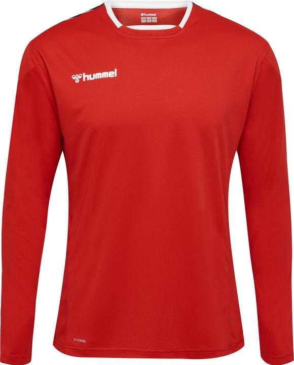 Image du produit hummel Authentic Poly Jersey L/S (S)