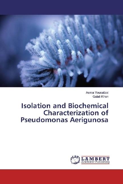 Produktbild Isolation and Biochemical Characterization of Pseudomonas Aerigunosa (Deutsch, Asma Yousafzai, Gulali Khan, 2017)