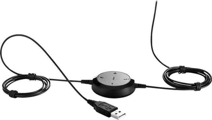Actual product image Jabra Evolve 20 (Cable, USB-A)
