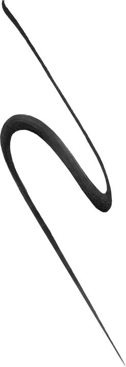 Actual product image Maybelline New York Eye Studio (710 Black)