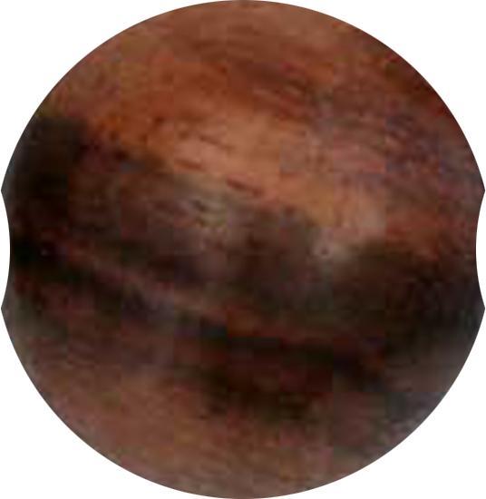 Star Piercing Ball Closure Kugel aus Narra Holz (ohne Messing, Organisch)