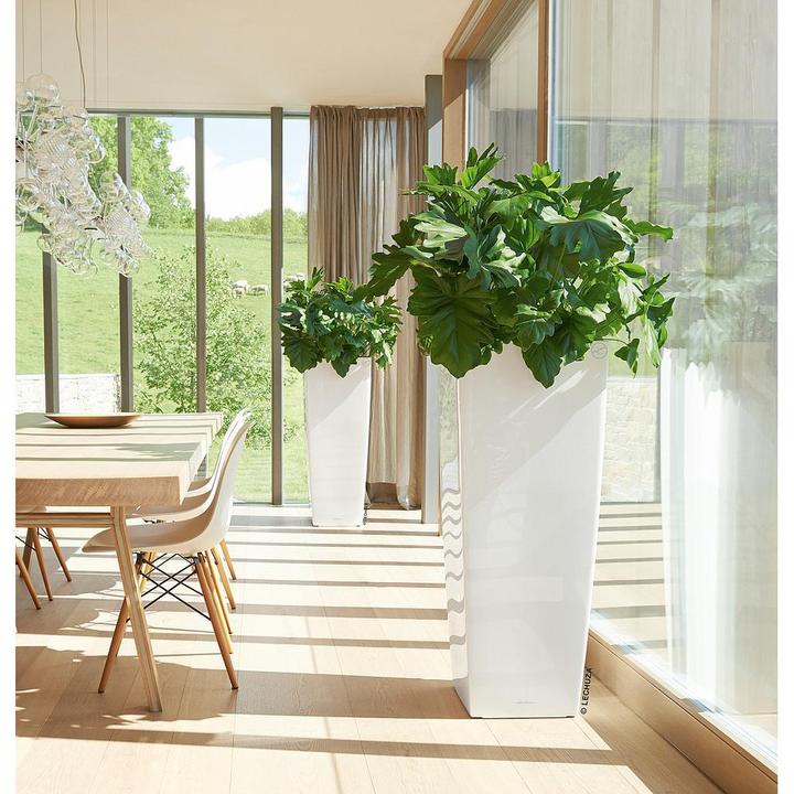 Actual product image Lechuza Cubico Alto (39.50 cm)