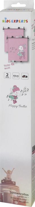Actual product image KidsExperts Sun blind set Ballet Doll 43 x 52 cm 2 pieces gray / pink