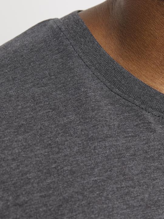 Produktbild Jack & Jones Jjeorganic Mel Tee Ss O-Neck Noos Pls (8XL)