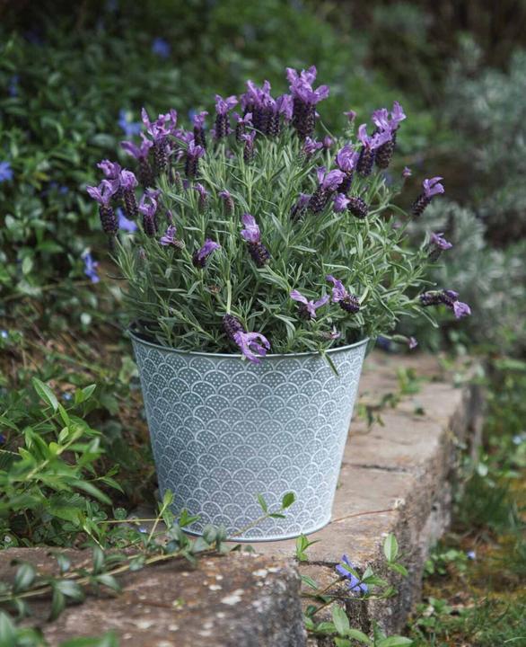 Produktbild Esmée Blumentopf / Übertopf Orient, Blech (23 cm)