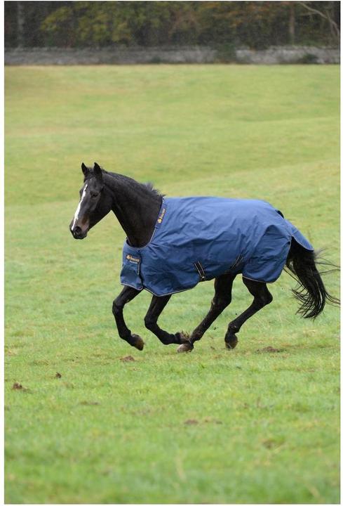 Produktbild Bucas Irish Turnout Light Classic 50g Isolation (165 cm)