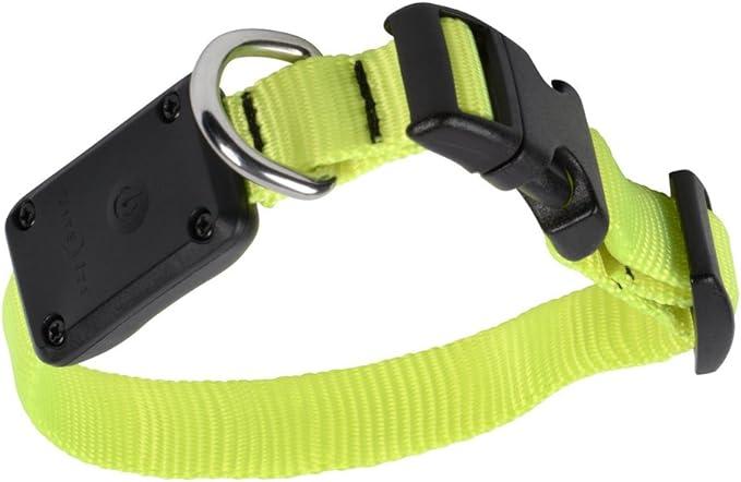 Produktbild Nite Ize NiteDawg LED Dog Halsband gelb xs (XS, Hund)