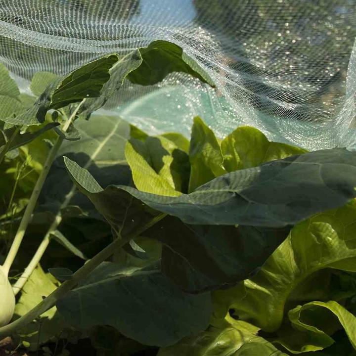 Produktbild Siena Garden Insektenschutznetz