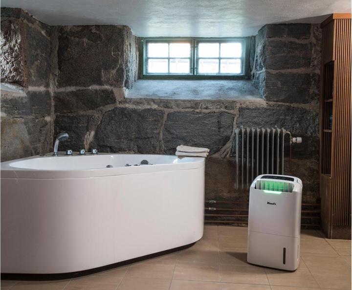Image du produit Wood's Ad20 (100 m², 22 l/24h)