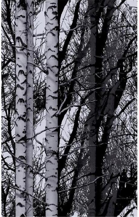D-C-Fix Holz (45 x 150 cm)