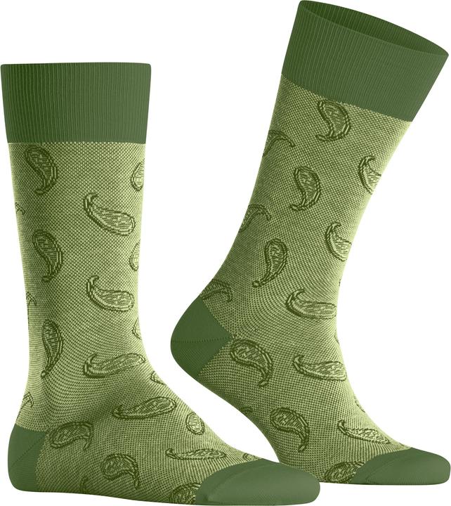 Image du produit Burlington Paisley SO (40 - 46)