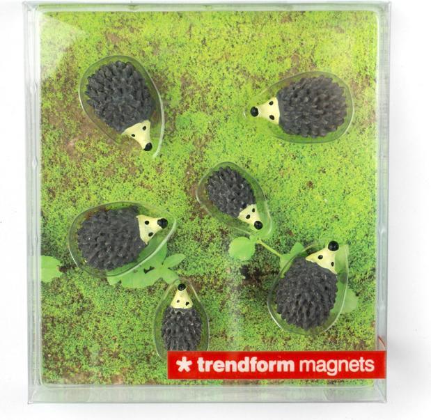 Image du produit Trendform Hedgehog (6 x)