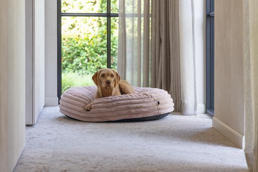 Actual product image Designed by Lotte Reza reclining cushion (Dog)