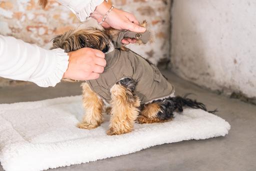 Produktbild Designed by Lotte Hundemantel Philos (XS, Hundemantel)