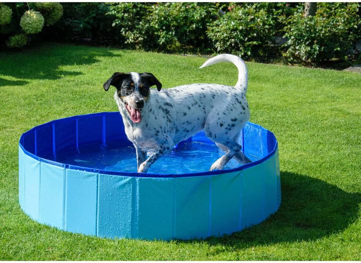 Produktbild Dobar Hundepool (Hundepool)