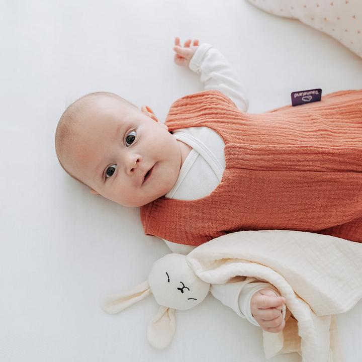 Immagine prodotto Träumeland Sacco a pelo estivo per neonati Little Farm taglia 70 (70 cm, 0,5 TOG)