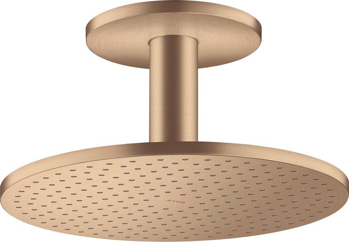 Axor Kopfbrause 300 1jet Deckenmontage brushed bronze (19 l/min)