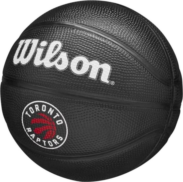 Actual product image Wilson Nba Team Tribute Mini Goal Raptors (3)