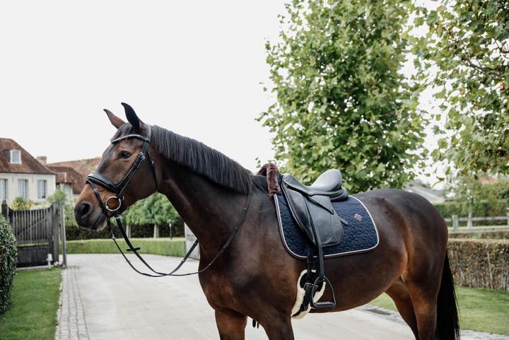 Actual product image Kentucky Horsewear Skin Friendly