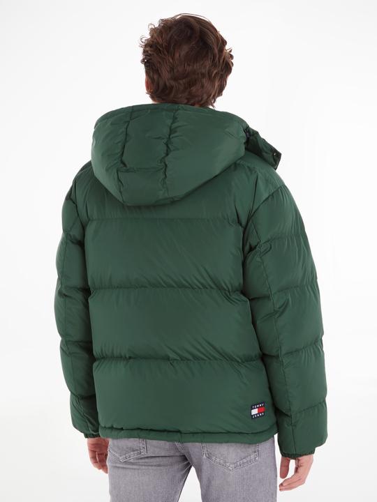 Actual product image Tommy Jeans Alaska (L)